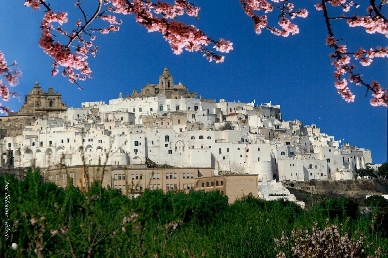 Casa Carlotta Villa Ostuni Exteriör bild